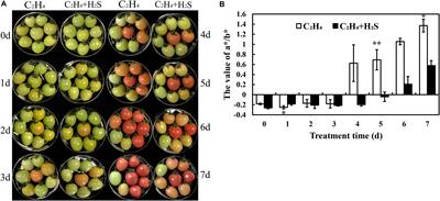 Hydrogen Sulfide Maintained the Good Appearance and Nutrition in Post-harvest Tomato Fruits by Antagonizing the Effect of Ethylene